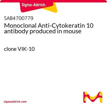 Monoclonal Anti-Cytokeratin 10 antibody produced in mouse clone VIK-10