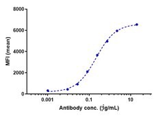 Anti-AA2AR / Adenosine A2aR Reference Antibody