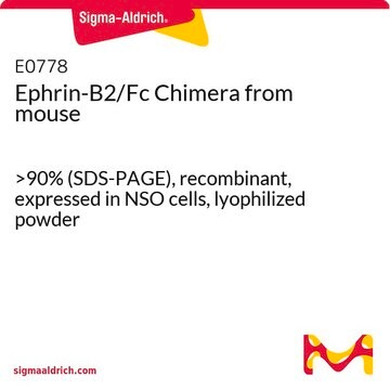 Ephrin-B2/Fc Chimera from mouse &gt;90% (SDS-PAGE), recombinant, expressed in NSO cells, lyophilized powder