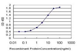 Monoclonal Anti-NANOG antibody produced in mouse clone 2E11, purified immunoglobulin, buffered aqueous solution