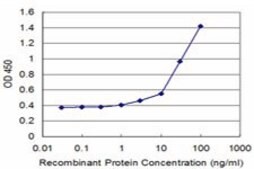 Monoclonal Anti-ATP1B2 antibody produced in mouse clone 4E3, purified immunoglobulin, buffered aqueous solution