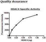 HDAC-4 human recombinant, expressed in baculovirus infected insect cells, &#8805;50% (SDS-PAGE)