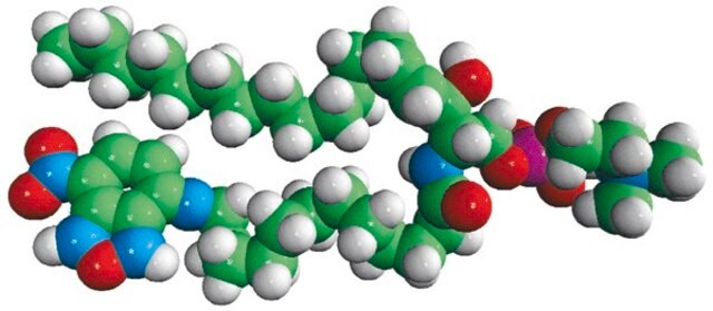 C12-NBD Sphingomyelin Avanti Research&#8482; - A Croda Brand 810219P, powder