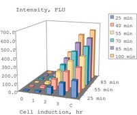 Caspase 3 Assay Kit, Fluorimetric
