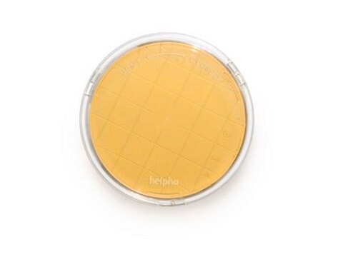 Tryptic Soy Agar - Ready-to-use Contact Plates Sodium Thiosulfate, Lecithin, Penase, Histidine, Tween&#174;, ICR plus with lockable lid, plate diam. 55&#160;mm, sterile; &#947;-irradiated, pkg of 10&#160;plates Triple packed, suitable for surface monitoring