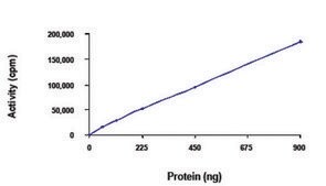 TIE2 (771-end), active, GST tagged human PRECISIO&#174; Kinase, recombinant, expressed in baculovirus infected Sf9 cells, &#8805;70% (SDS-PAGE), buffered aqueous glycerol solution
