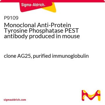 Monoclonal Anti-Protein Tyrosine Phosphatase PEST antibody produced in mouse clone AG25, purified immunoglobulin