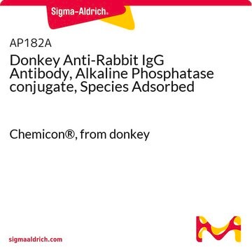 Donkey Anti-Rabbit IgG Antibody, Alkaline Phosphatase conjugate, Species Adsorbed Chemicon&#174;, from donkey