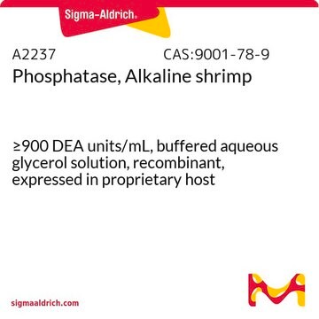 Phosphatase, Alkaline shrimp &#8805;900&#160;DEA units/mL, buffered aqueous glycerol solution, recombinant, expressed in proprietary host