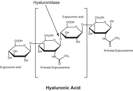 Hyaluronidase from bovine testes Type VI-S, lyophilized powder, 3,000-15,000&#160;units/mg solid