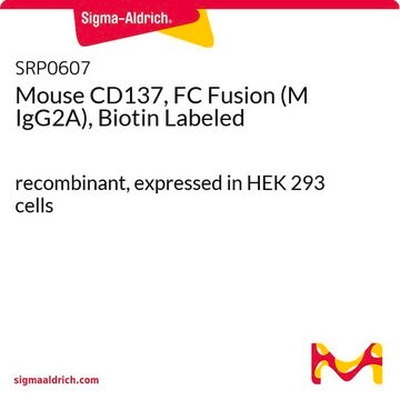 Mouse CD137, FC Fusion (M IgG2A), Biotin Labeled recombinant, expressed in HEK 293 cells