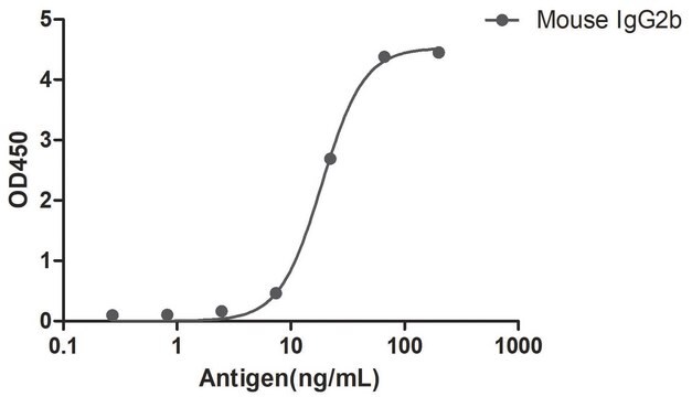 Alpaca Anti-Mouse IgG2b(Fc&#947;) HRP single domain Antibody recombinant Alpaca(VHH) Nano antibody