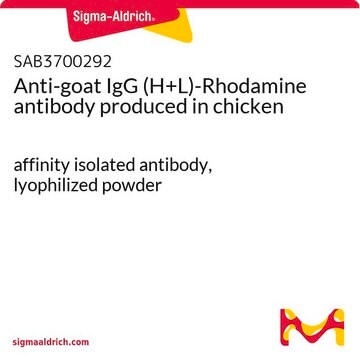 Anti-goat IgG (H+L)-Rhodamine antibody produced in chicken affinity isolated antibody, lyophilized powder