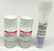 LuminoCt&#174; qPCR ReadyMix&#8482; For fast probe-based quantitative PCR