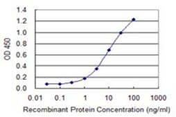 Monoclonal Anti-VWF antibody produced in mouse clone 1A11, purified immunoglobulin, buffered aqueous solution