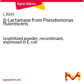 &#946;-Lactamase from Pseudomonas fluorescens lyophilized powder, recombinant, expressed in E. coli