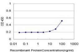 Monoclonal Anti-CAMK2D antibody produced in mouse clone 1B11, purified immunoglobulin, buffered aqueous solution