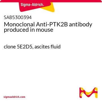 Monoclonal Anti-PTK2B antibody produced in mouse clone 5E2D5, ascites fluid