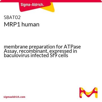 MRP1 human membrane preparation for ATPase Assay, recombinant, expressed in baculovirus infected Sf9 cells