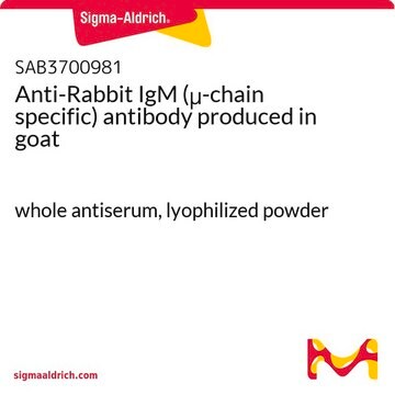 Anti-Rabbit IgM (&#956;-chain specific) antibody produced in goat whole antiserum, lyophilized powder