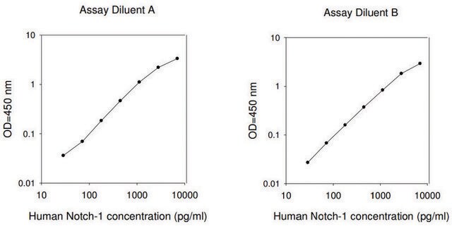 Human Notch-1 ELISA Kit for serum, plasma, cell culture supernatants and urine