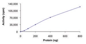 ERK5, active, GST tagged human PRECISIO&#174; Kinase, recombinant, expressed in baculovirus infected Sf9 cells, &#8805;70% (SDS-PAGE), buffered aqueous glycerol solution