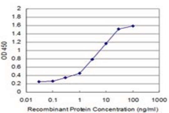 ANTI-BMP5 antibody produced in mouse clone 4D10, purified immunoglobulin, buffered aqueous solution