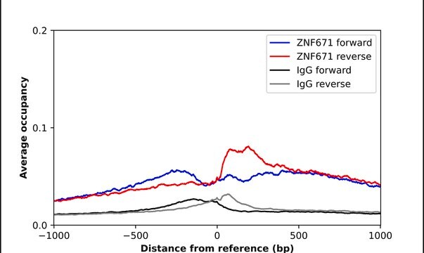 Anti-ZNF671 antibody produced in rabbit Prestige Antibodies&#174; Powered by Atlas Antibodies, affinity isolated antibody, buffered aqueous glycerol solution