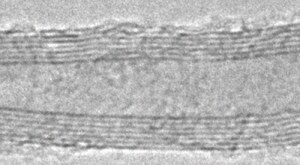 Carbon nanotube, multi-walled &gt;98% carbon basis, O.D. × L 6-13&#160;nm × 2.5-20&#160;&#956;m