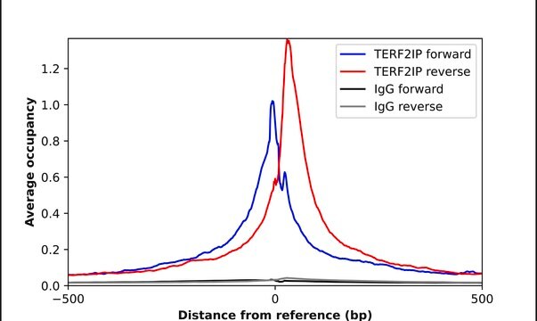 Anti-TERF2IP antibody produced in rabbit Prestige Antibodies&#174; Powered by Atlas Antibodies, affinity isolated antibody, buffered aqueous glycerol solution