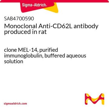 Monoclonal Anti-CD62L antibody produced in rat clone MEL-14, purified immunoglobulin, buffered aqueous solution