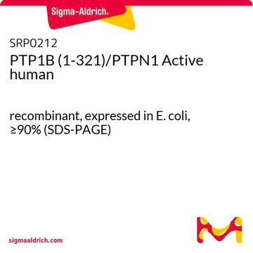 PTP1B (1-321)/PTPN1 Active human recombinant, expressed in E. coli, &#8805;90% (SDS-PAGE)