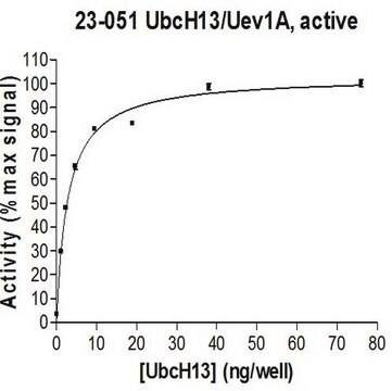 UbcH13/Uev1A Protein, active, 10 &#181;g Active complex of two (2) full length, recombinant human enzymes: UbcH13 &amp; Uev1A. For use in Enzyme Assays. Functions as an E2 enzyme in ubiquitination assays.