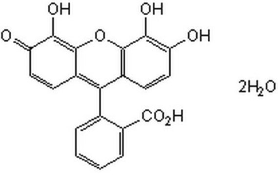 G&#946;&#947; Modulator II, Gallein A cell-permeable xanthene compound that binds to G&#946;&#947; with high affinity (Kd ~400 nM derived from a surface plasma resonance binding study using G&#946;1&#947;2) and blocks G&#946;&#947;-dependent cellular activities.