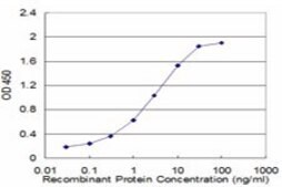 Monoclonal Anti-ATP4B antibody produced in mouse clone 1D10, purified immunoglobulin, buffered aqueous solution