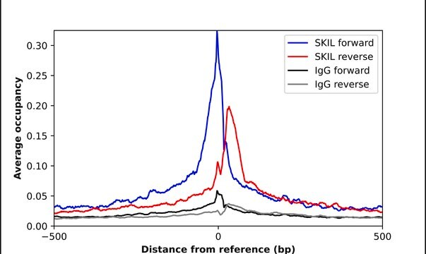 Anti-SKIL antibody produced in rabbit Prestige Antibodies&#174; Powered by Atlas Antibodies, affinity isolated antibody, buffered aqueous glycerol solution