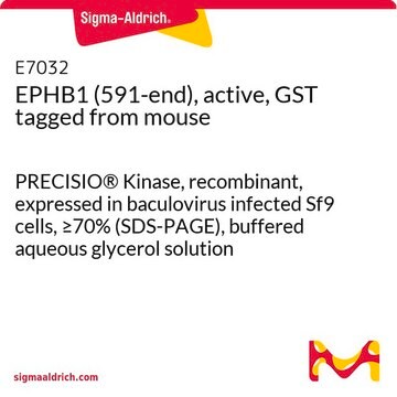 EPHB1 (591-end), active, GST tagged from mouse PRECISIO&#174; Kinase, recombinant, expressed in baculovirus infected Sf9 cells, &#8805;70% (SDS-PAGE), buffered aqueous glycerol solution