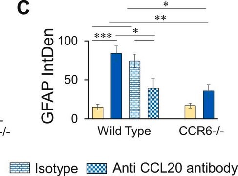 Anti-Glial Fibrillary Acidic Protein Antibody Chemicon&#174;, from chicken