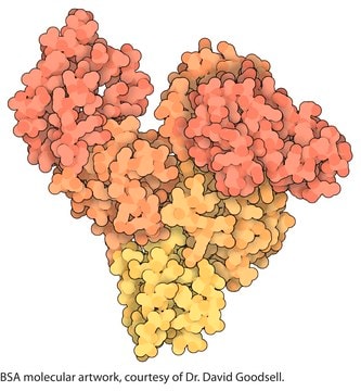 Bovine Serum Albumin lyophilized powder, suitable for (for molecular biology), Non-acetylated