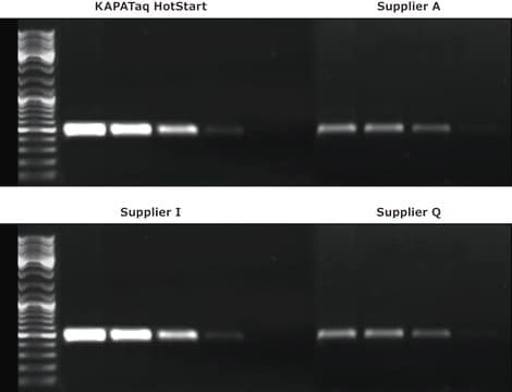 KAPA Taq PCR Kit Buffers with dye