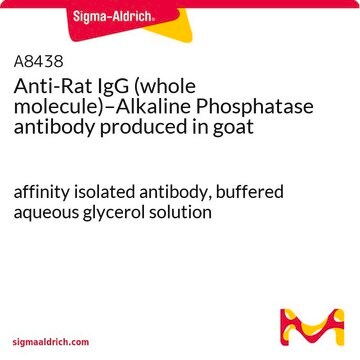 Anti-Rat IgG (whole molecule)–Alkaline Phosphatase antibody produced in goat affinity isolated antibody, buffered aqueous glycerol solution