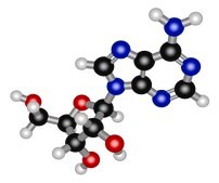 Adenosine