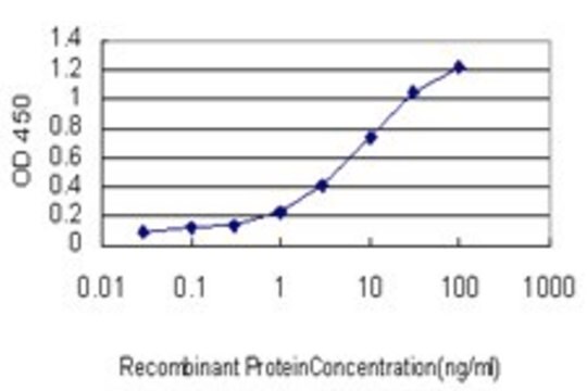 Monoclonal Anti-RORA antibody produced in mouse clone 4E3, purified immunoglobulin, buffered aqueous solution