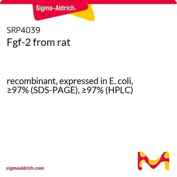 Fgf-2 from rat recombinant, expressed in E. coli, &#8805;97% (SDS-PAGE), &#8805;97% (HPLC)