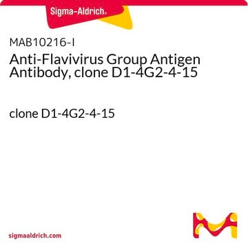 Anti-Flavivirus Group Antigen Antibody, clone D1-4G2-4-15 clone D1-4G2-4-15