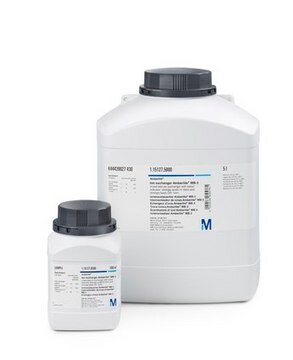 Ion exchanger Amberlite&#8482; IRA-410 suitable for ion chromatography