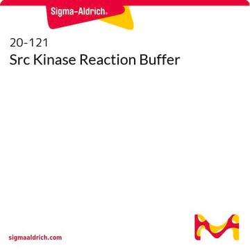 Src Kinase Reaction Buffer