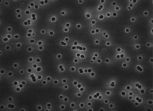 Polycarbonate Membrane Filter, 3.0 &#956;m Pore Size Isopore&#8482;, filter diam. 142&#160;mm, hydrophilic