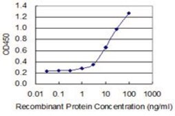 Monoclonal Anti-CRH antibody produced in mouse clone 2B11, purified immunoglobulin, buffered aqueous solution