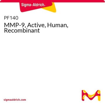 MMP-9, Active, Human, Recombinant